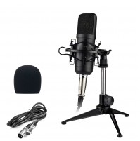 Renton ST100 microfono da studio 30Hz/20kHz completo di stativo treppiede e supporto a ragno