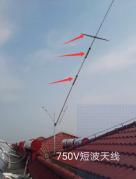 KB2 KB 750V ANTENNA CORNUTA 6-10-15-20-40 METRI 2KW PEP BALUN INCLUSO